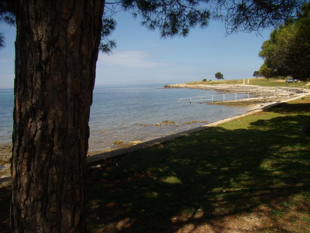 Apartments Sv. Pelegrin Umag Exterior photo